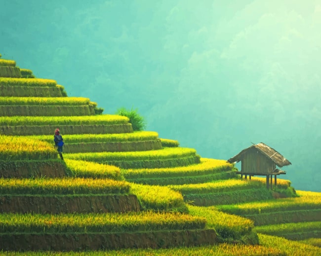 Grasslands In The Mountain paint by numbers