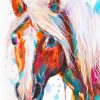 Haflinger Horse Watercolor paint by numbers