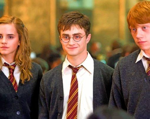 Harry Potter Characters paint by numbers