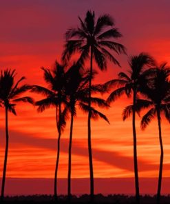 Hawaii Palms Sunset paint by numbers