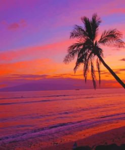 Hawaiian Sunset Beach paint by numbers