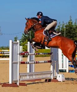 Horse Jumping A Fence paint by numbers