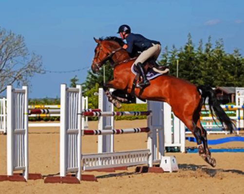 Horse Jumping A Fence paint by numbers