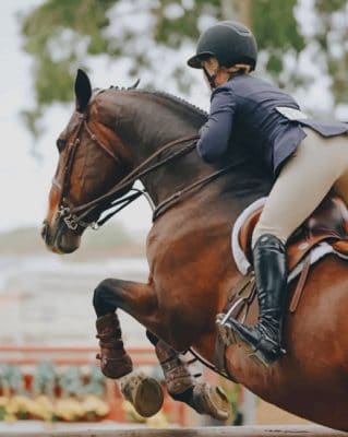 Horse Jumping The Fence paint by numbers