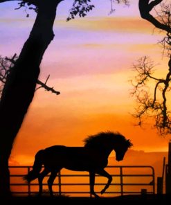 Horse Silhouette Sunset paint by numbers