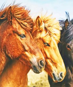 Multi Colored Horses paint by numbers