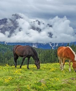 Horses In A Landscape paint by numbers