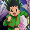Hunter X Hunter Characters paint by numbers