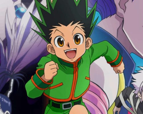 Hunter X Hunter Characters paint by numbers