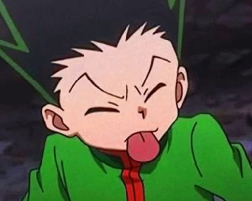 Hunter X Hunter by Numbers paint