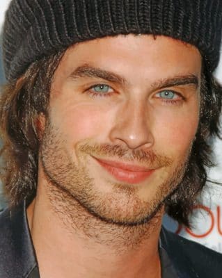 Ian Joseph Somerhalde painting by numbers