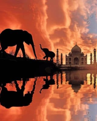 Indian Elephants Silhouette paint by numbers