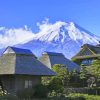 Japanese Bungalows paint by numbers