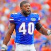 Jarrad Davis Florida paint by numbers