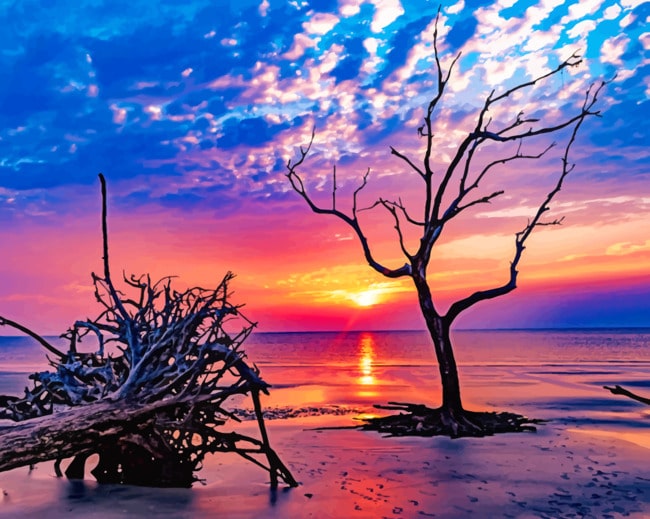 Jekyll Island Sunrise paint by numbers