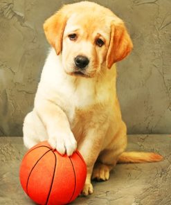 Labrador Puppy With Ball paint by numbers