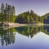 Trees Reflection In The Water paint by numbers