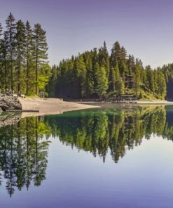 Trees Reflection In The Water paint by numbers