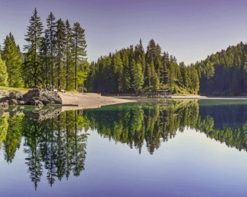 Trees Reflection In The Water paint by numbers