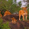 Lion's Family On Tree painting by numbers