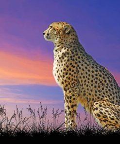 Cheetah Sitting Alone paint by numbers