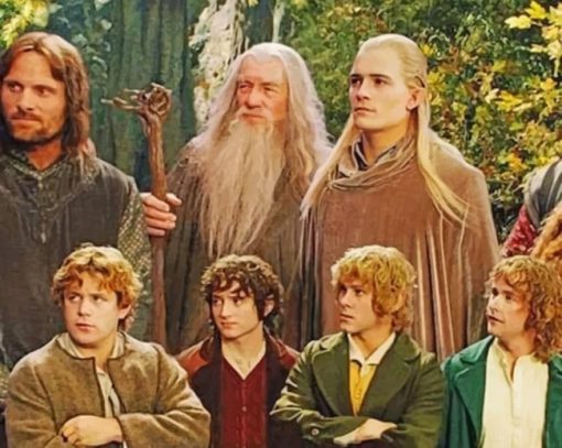 Lord Of The Rings Fellowship paint by numbers