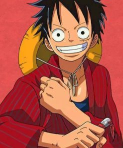 Luffy One Peace painting by numbers