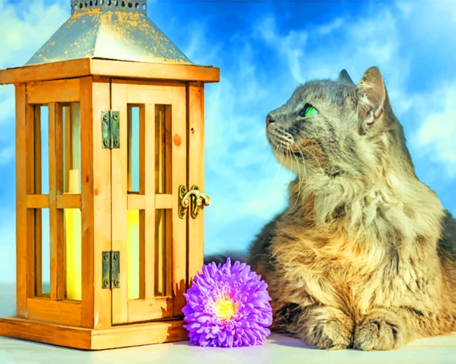 Maine Coon painting by numbers