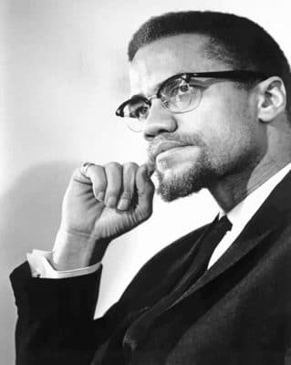 Malcolm X Black And White paint by numbers