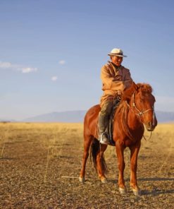 An Old Man Riding A Horse painting by numbers