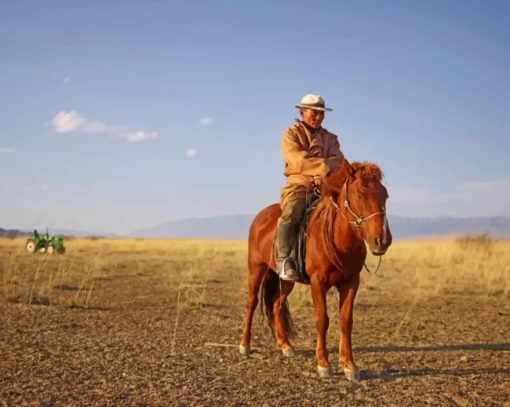 An Old Man Riding A Horse painting by numbers