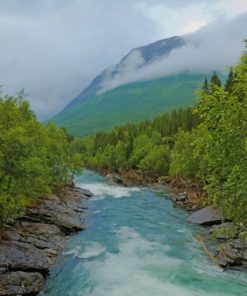 Matanuska River paint by numbers