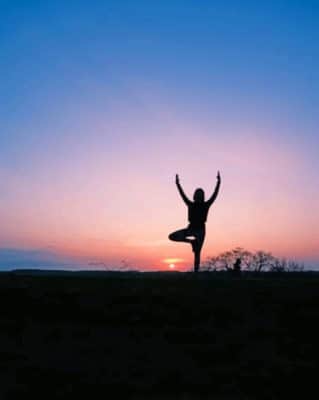 Meditating At Sunset paint by numbers