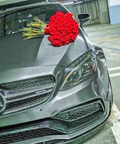 Mercedes With Roses paint by numbers