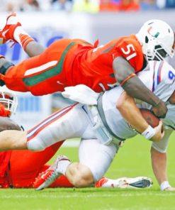 Florida Gators VS Miami Hurricane paint by numbers