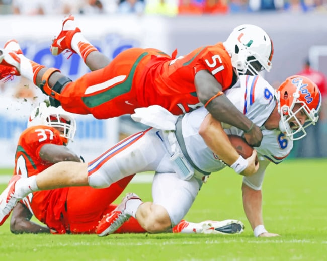 Florida Gators VS Miami Hurricane paint by numbers