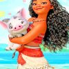 Moana And Pua paint by numbers