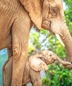 Mom And Baby Elephant paint by numbers