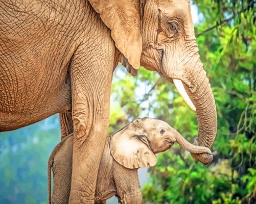 Mom And Baby Elephant paint by numbers