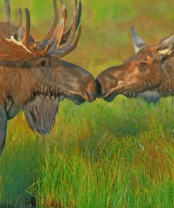 Moose In The River paint by numbers