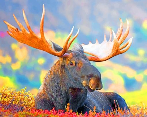 Moose With Big Horns paint by numbers