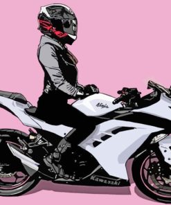 Motorcycle Girl Art paint by numbers