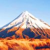 Mountain Taranaki paint by numbers