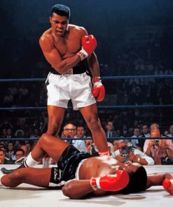 Mohammad Ali VS Sonny Liston paint by numbers