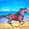 Mustang Horse On The Beach paint by numbers