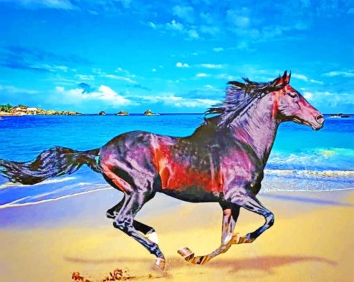 Mustang Horse On The Beach paint by numbers