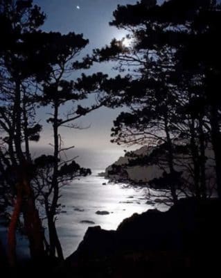 Dark Night painting by numbers