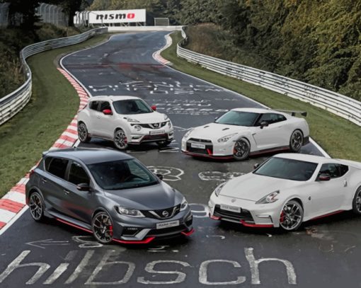 Nissan Cars Collection paint by numbers