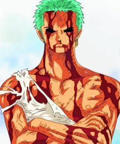 One Piece Zoro paint by numbers