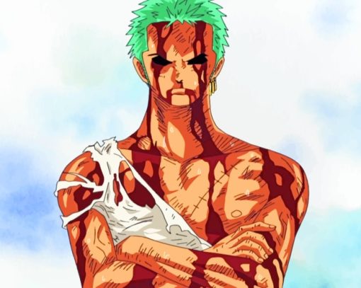 One Piece Zoro paint by numbers